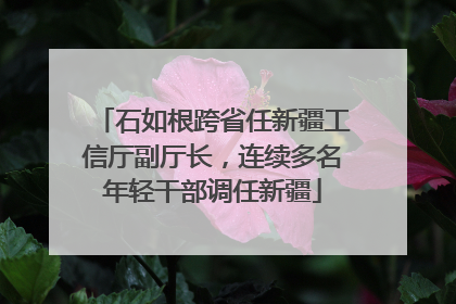 石如根跨省任新疆工信厅副厅长，连续多名年轻干部调任新疆