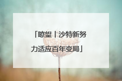 瞭望丨沙特新努力适应百年变局