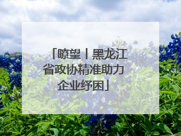 瞭望丨黑龙江省政协精准助力企业纾困