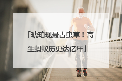 琥珀现最古虫草！寄生蚂蚁历史达亿年