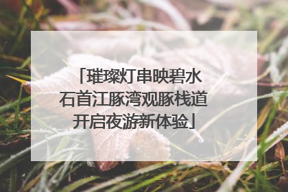 璀璨灯串映碧水 石首江豚湾观豚栈道开启夜游新体验