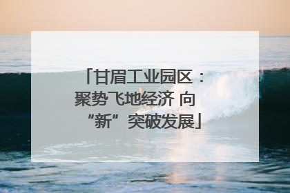 甘眉工业园区：聚势飞地经济 向“新”突破发展