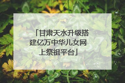甘肃天水升级搭建亿万中华儿女网上祭祖平台