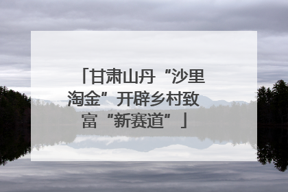 甘肃山丹“沙里淘金”开辟乡村致富“新赛道”