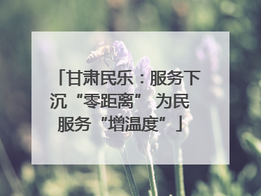 甘肃民乐：服务下沉“零距离” 为民服务“增温度”