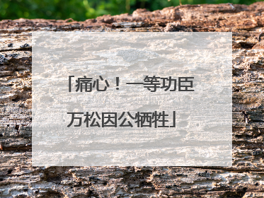 痛心！一等功臣万松因公牺牲