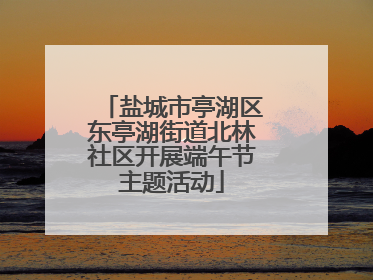 盐城市亭湖区东亭湖街道北林社区开展端午节主题活动