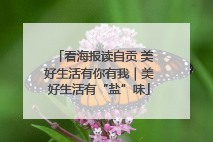 看海报读自贡 美好生活有你有我｜美好生活有“盐”味