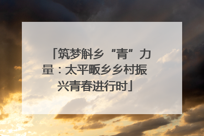 筑梦斛乡“青”力量：太平畈乡乡村振兴青春进行时