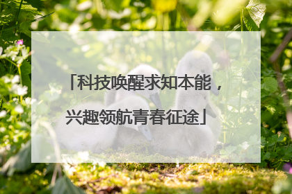 科技唤醒求知本能，兴趣领航青春征途