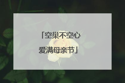 空巢不空心 爱满母亲节