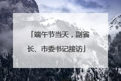 端午节当天，副省长、市委书记接访