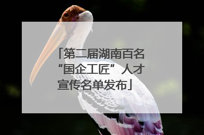 第二届湖南百名“国企工匠”人才宣传名单发布