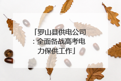 罗山县供电公司：全面备战高考电力保供工作