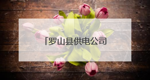罗山县供电公司：开展机房自查 助力迎峰度夏