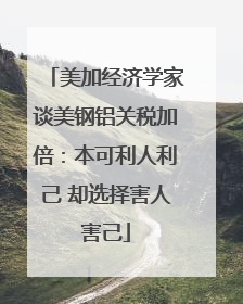 美加经济学家谈美钢铝关税加倍：本可利人利己 却选择害人害己