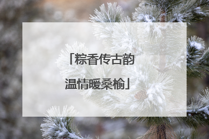 粽香传古韵 温情暖桑榆