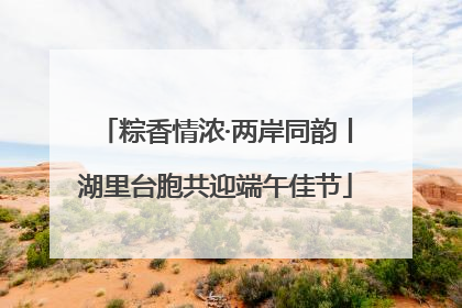 粽香情浓·两岸同韵丨湖里台胞共迎端午佳节