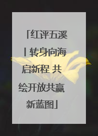 红评五溪丨转身向海启新程 共绘开放共赢新蓝图