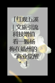 红观五溪｜文旅引流 科技增值 看一颗杨梅在靖州的“商业觉醒”
