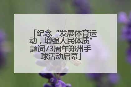 纪念“发展体育运动，增强人民体质”题词73周年郑州手球活动启幕