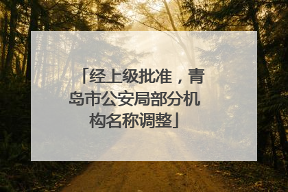 经上级批准，青岛市公安局部分机构名称调整