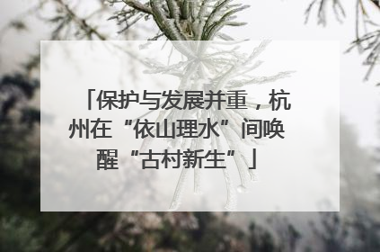 保护与发展并重，杭州在“依山理水”间唤醒“古村新生”