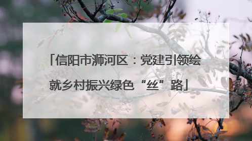 信阳市浉河区：党建引领绘就乡村振兴绿色“丝”路