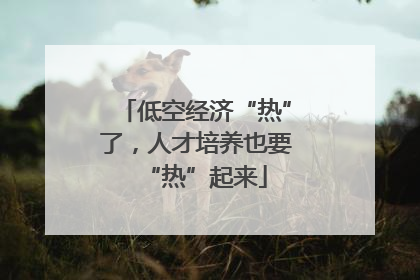 低空经济“热”了，人才培养也要“热”起来