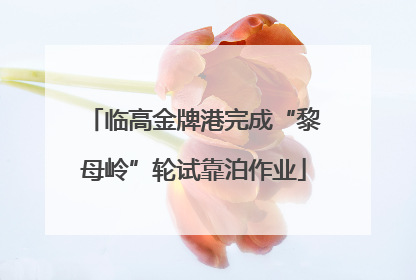 临高金牌港完成“黎母岭”轮试靠泊作业