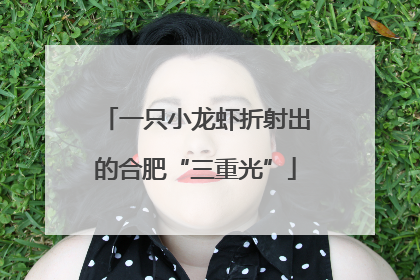 一只小龙虾折射出的合肥“三重光”