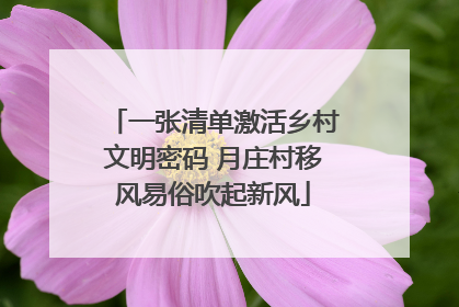 一张清单激活乡村文明密码 月庄村移风易俗吹起新风