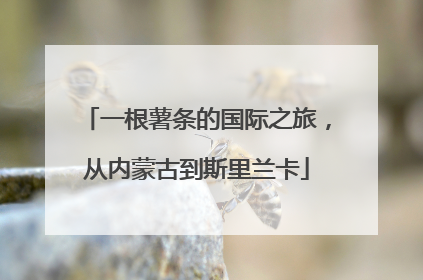 一根薯条的国际之旅，从内蒙古到斯里兰卡