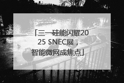 三一硅能闪耀2025 SNEC展，智能微网成焦点