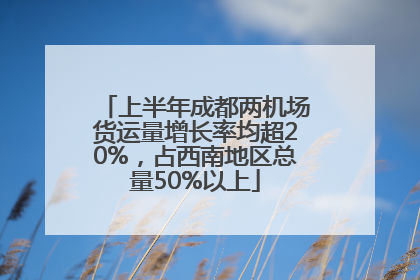 上半年成都两机场货运量增长率均超20%，占西南地区总量50%以上