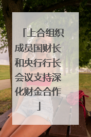 上合组织成员国财长和央行行长会议支持深化财金合作