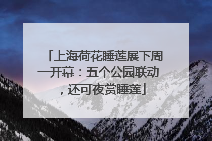 上海荷花睡莲展下周一开幕：五个公园联动，还可夜赏睡莲