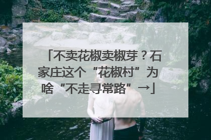 不卖花椒卖椒芽？石家庄这个“花椒村”为啥“不走寻常路”→