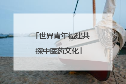 世界青年福建共探中医药文化