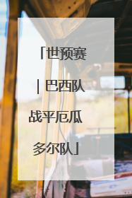 世预赛｜巴西队战平厄瓜多尔队