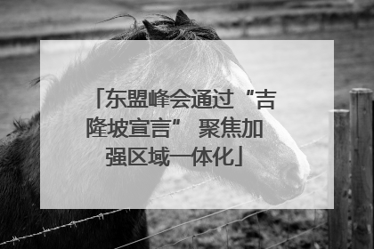 东盟峰会通过“吉隆坡宣言” 聚焦加强区域一体化