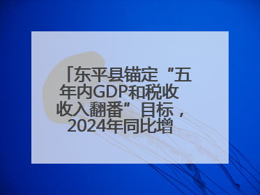 东平县锚定“五年内GDP和税收收入翻番”目标，2024年同比增长5.8%