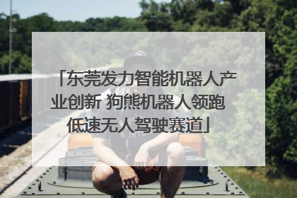 东莞发力智能机器人产业创新 狗熊机器人领跑低速无人驾驶赛道