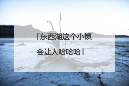东西湖这个小镇会让人哈哈哈