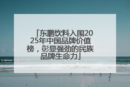 东鹏饮料入围2025年中国品牌价值榜，彰显强劲的民族品牌生命力