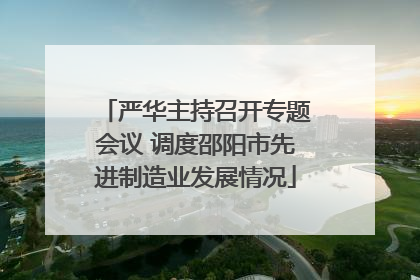 严华主持召开专题会议 调度邵阳市先进制造业发展情况