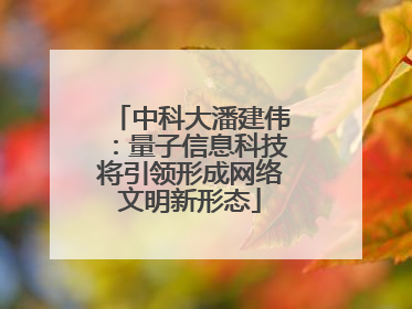 中科大潘建伟：量子信息科技将引领形成网络文明新形态