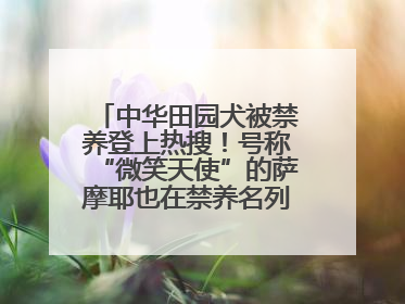 中华田园犬被禁养登上热搜！号称“微笑天使”的萨摩耶也在禁养名列 网友不解西安多部门回应