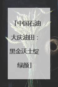 中国石油大庆油田：黑金沃土绽绿颜