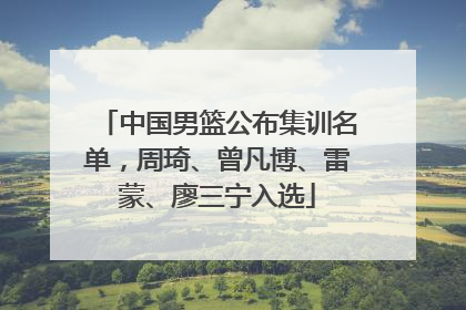 中国男篮公布集训名单，周琦、曾凡博、雷蒙、廖三宁入选